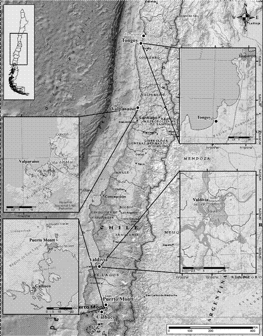 Mapa

El contenido generado por IA puede ser incorrecto.